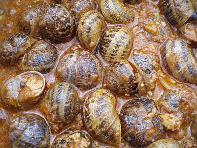 caracoles en salsa.