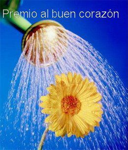 premio Rosa_n